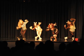 2011_Tanzprojekt 2011 151